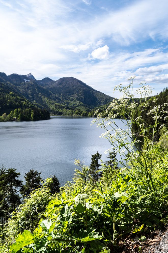 Schwarzensee