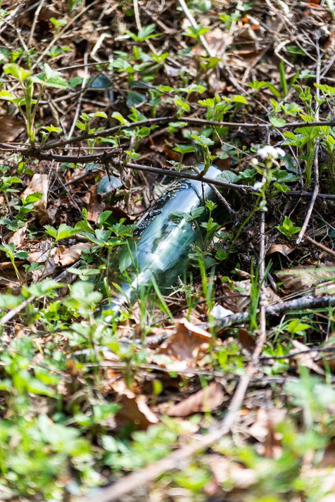 Glasflasche in der Natur