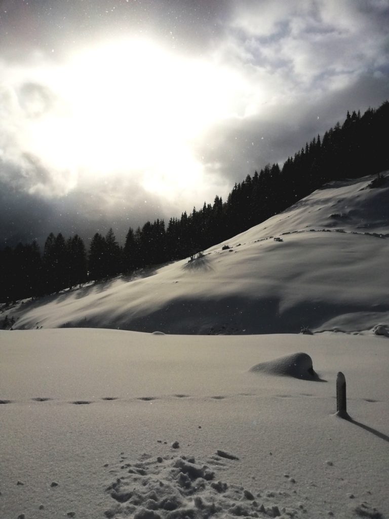 Sommeraualm