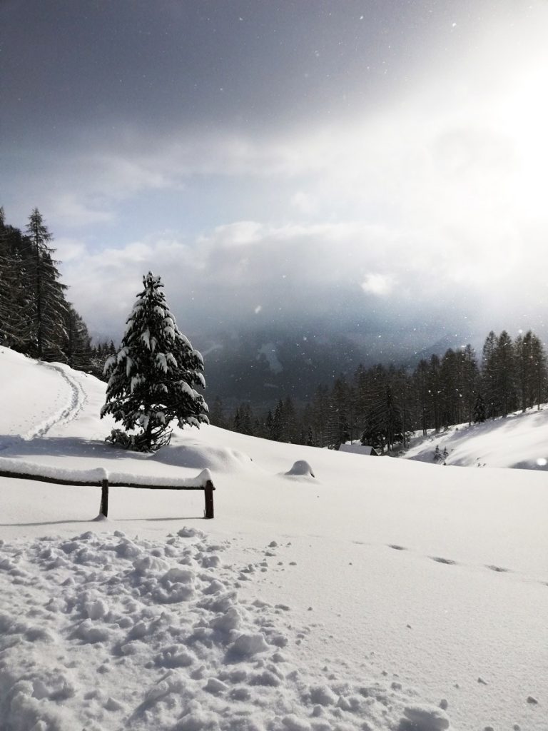 Blick von der Sommeraualm