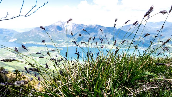 Aussicht vom Gipfel der Bleckwand auf 1.516 m auf den Wolfgangsee